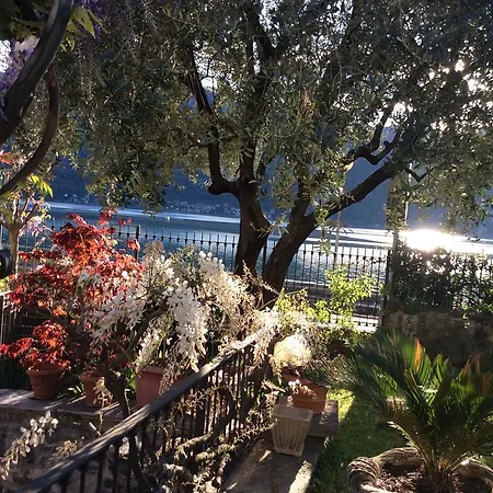 - Foresteria - Frontelago Bed & Breakfast Mandello del Lario