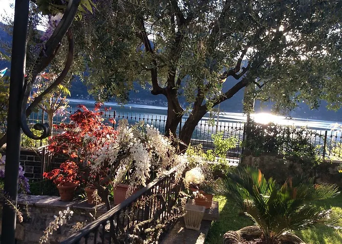 - Foresteria - Frontelago Bed & Breakfast Mandello del Lario